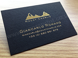 Gold foil printed text and logo on ebony colorplan business cards.
